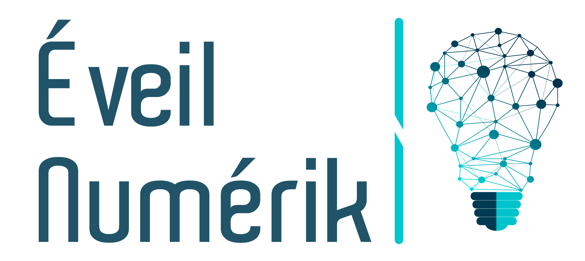 eveilnumerik.com
